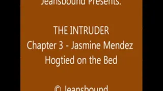 Jasmine Mendez vs. the Intruder - Chapter 3 - SQ