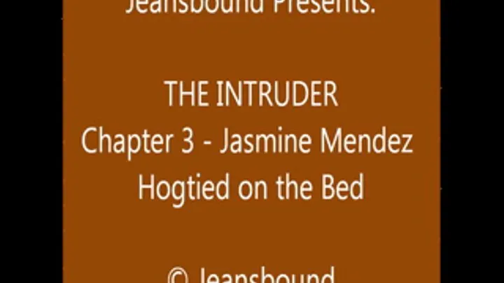 Jasmine Mendez vs. the Intruder - Chapter 3