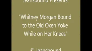 Whitney Morgan Bound to the Yoke - SQ