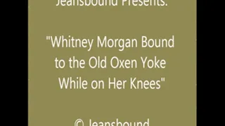 Whitney Morgan Bound to the Yoke