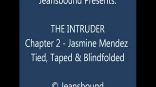 Jasmine Mendez vs. the Intruder - Chapter 2 - SQ