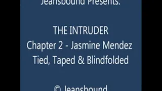 Jasmine Mendez vs. the Intruder - Chapter 2