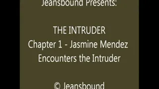 vs. the Intruder - Chapter 1