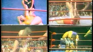 WV 137/ 1 Pro Wrestling Clips