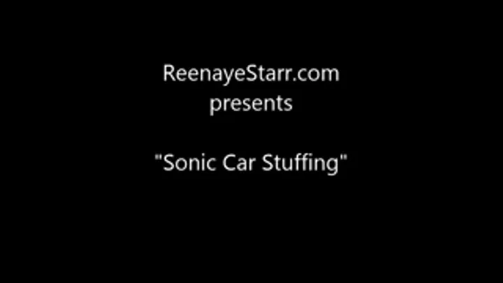 Sonic Gluttony- Car Stuffing