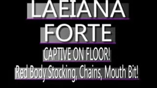 Laeiana Forte Bodystocking And Chains! - (320 X 240 in size)