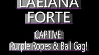 Laeiana Forte In Purple Ropes With Ball Gag! - (720 X 480 in size)