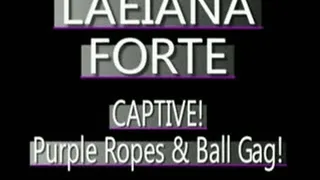 Laeiana Forte In Purple Ropes With Ball Gag! - (320 X 240 in size)