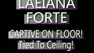 Laeiana Forte Hogtied To Ceiling! - (320 X 240 in size)