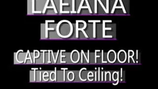 Laeiana Forte Hogtied To Ceiling! - (720 X 480 in size)