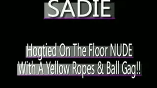 Sadie Hogtied On Floor With Yellow Ropes And Ball Gag! - (320 X 240 in size)