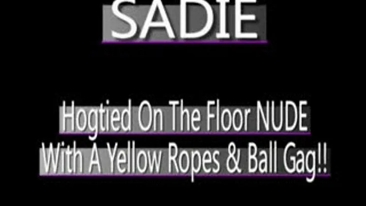 Sadie Hogtied On Floor With Yellow Ropes And Ball Gag! - (720 X 480 in size)