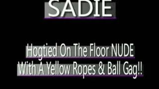 Sadie Hogtied On Floor With Yellow Ropes And Ball Gag! - (320 X 240 in size)