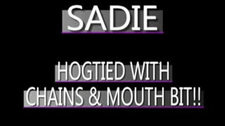 Sadie Chained With Mouth Bit! - (720 X 480 in size)