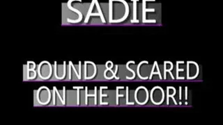 Sadie Is Scared While Tied And Gagged! - (320 X 240 in size)