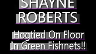 Shayne Roberts Hogtied In Green Fishnets! - (720 X 480 in size)