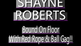 Shayne Roberts Bound For Valentine's Day! - (720 X 480 in size)