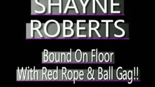 Shayne Roberts Bound For Valentine's Day! - (320 X 240 in size)