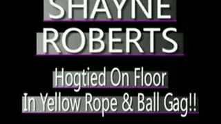 Shayne Roberts Naked Hogtie! - (320 X 240 in size)