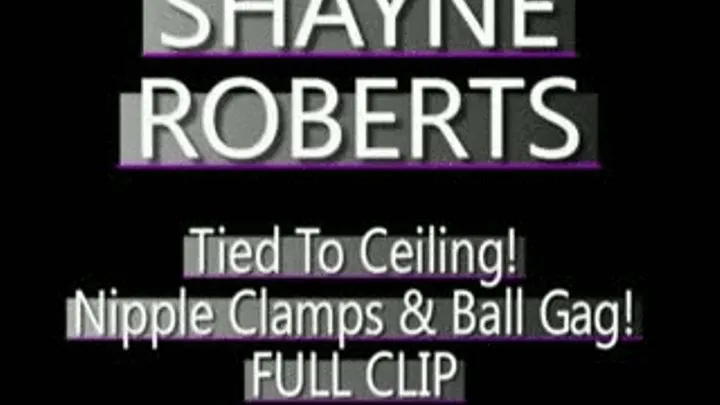 Shayne Roberts Nipple Clamp Pain! - (320 X 240 in size)