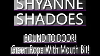 Shyanne Shadoes Tied To The Door! - (320 X 240 in size)