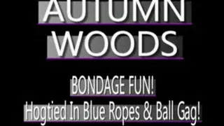 Autumn Woods Bound In Blue With Mouth Ring! - WMV FULL SIZED VERSION ( in size)