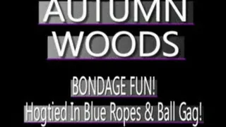 Autumn Woods Bound In Blue With Mouth Ring! - PS3 FORMAT