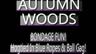 Autumn Woods Bound In Blue With Mouth Ring! - (320 X 240 SIZED)