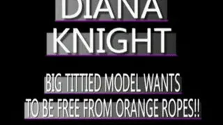 Bare Tits Of Diana Knight! - PS3 FORMAT