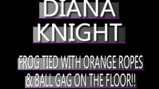 Touching Diana Knight! - WMV FULL SIZED VERSION ( in size)