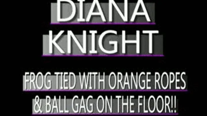 Touching Diana Knight! - AVI VERSION