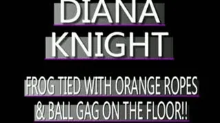 Touching Diana Knight! - IPOD FORMAT