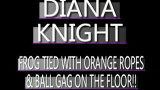 Touching Diana Knight! - PS3 FORMAT