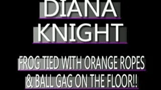 Touching Diana Knight! - (320 X 240 SIZED)