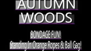 Autumn Woods Standing Tie In Orange Ropes And Ball Gag! - WMV FULL SIZED VERSION ( in size)