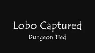 Lobo Captured - Dungeon Tied