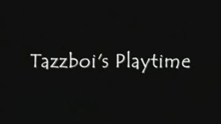 Tazzboi's Playtime