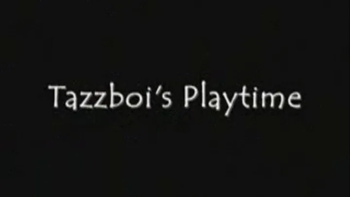 Tazzboi's Playtime iPod