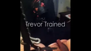 Trevor Trained HD (Reduced)