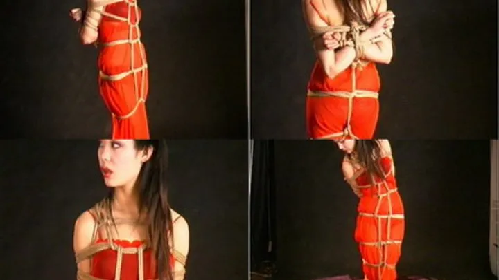 Yuer art bondage B4/5