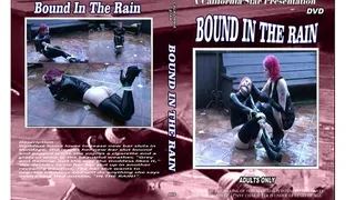 Bound In The Rain Full Movie