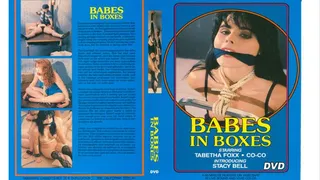 Babes In Boxes Full Movie