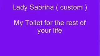 Lady Sabrina Custom for Alan Toilet for the rest of your life