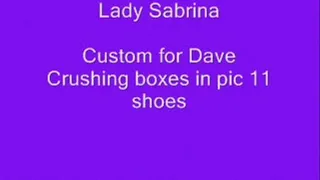 Lady Sabrina custom for Dave crushing in pic 11 wedges