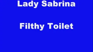 Lady Sabrina filthy toilet slave