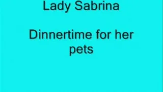 Lady Sabrina Dinner time pets