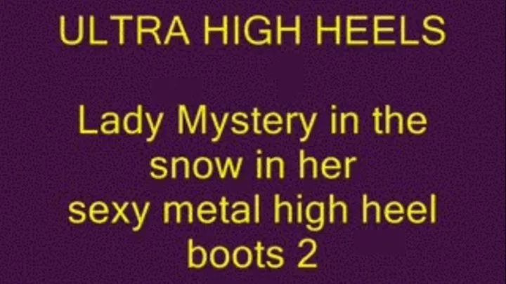 Lady Mystery out in the snow 2