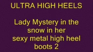 Lady Mystery out in the snow 2