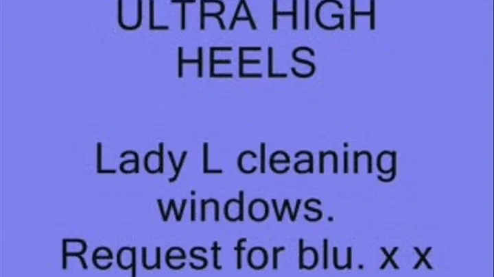 Request 4 Blu Lady L window cleaning