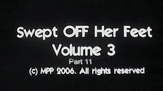 Swept Off Her Feet Vol. 3 Part 11